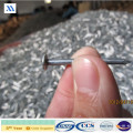 Supplier of Galvanized Common Nails (XA-CN7)
